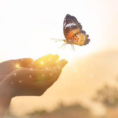 The girl frees the butterfly from  moment Concept of freedom