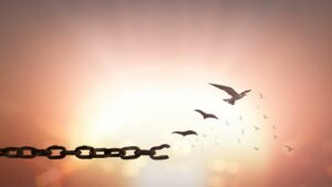 Silhouette of bird flying and broken chains over blurred big sun background