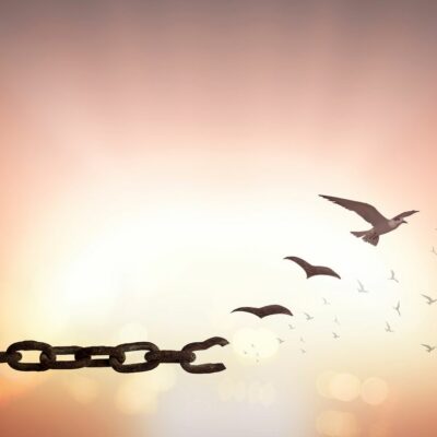 Silhouette of bird flying and broken chains over blurred big sun background